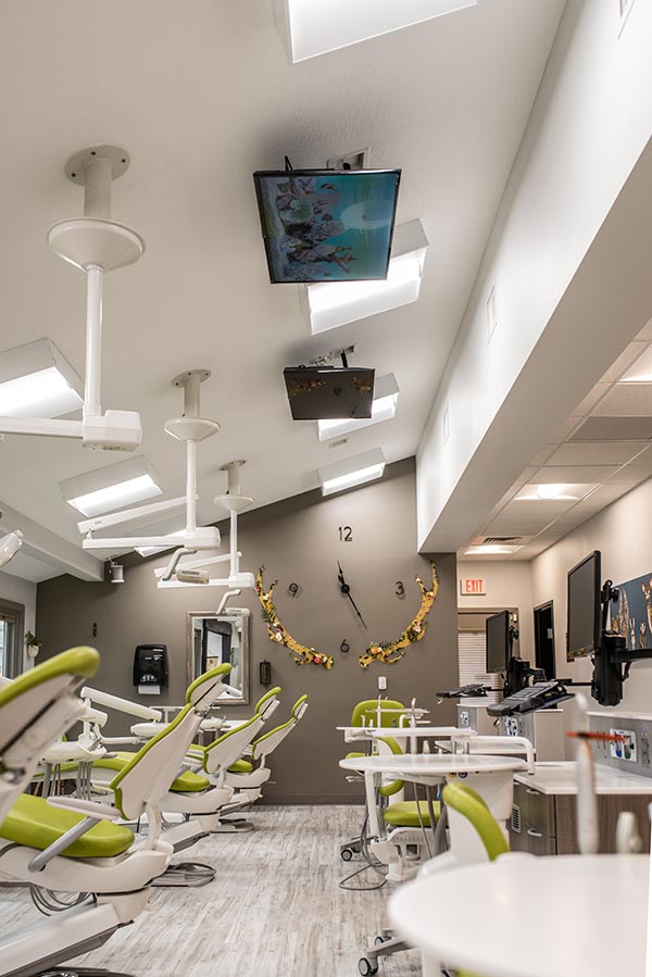 Treehouse Kids Dentist's provides the highest quality pediatric dentistry in an incredibly warm, friendly, and fun environment located in Springfield, Oregon